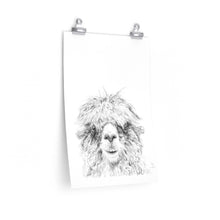 JAY Llama- Art Paper Print