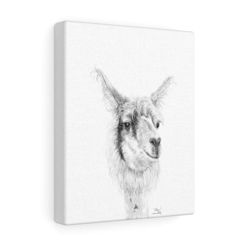 ADAM Llama - Art Canvas