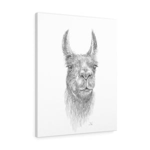 EVAN Llama - Art Canvas