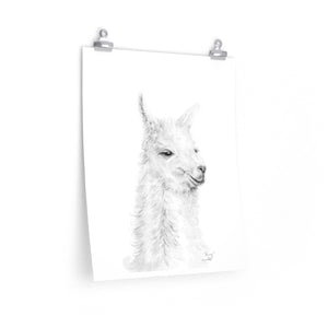 NANCY Llama- Art Paper Print