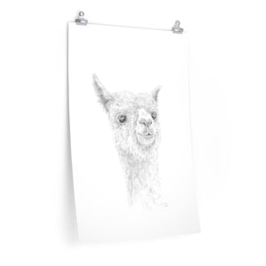 REX Llama- Art Paper Print