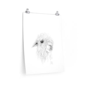 RYLEY Llama- Art Paper Print