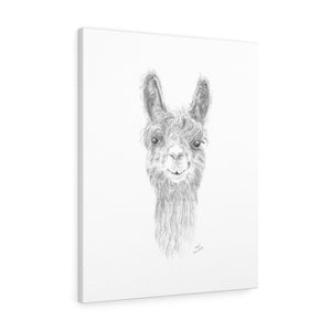 PAYTON Llama - Art Canvas