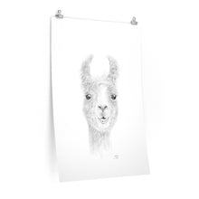 MALLORY Llama- Art Paper Print