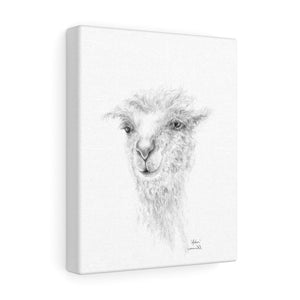 ASHER llama- Art Canvas