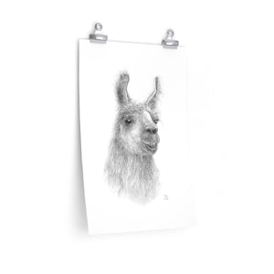 Copy of BILLIE-JO Llama- Art Paper Print