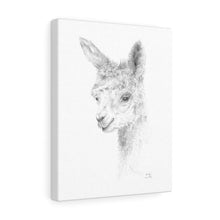 ANALYN Llama- Art Canvas