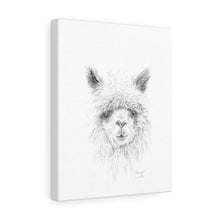 SHERYL Llama - Art Canvas