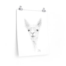 ANISA Llama- Art Paper Print