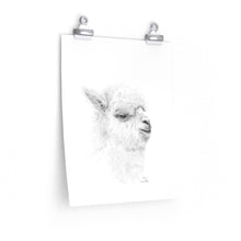 BEN Llama- Art Paper Print