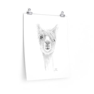 MARK Llama- Art Paper Print