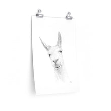 JASON Llama- Art Paper Print