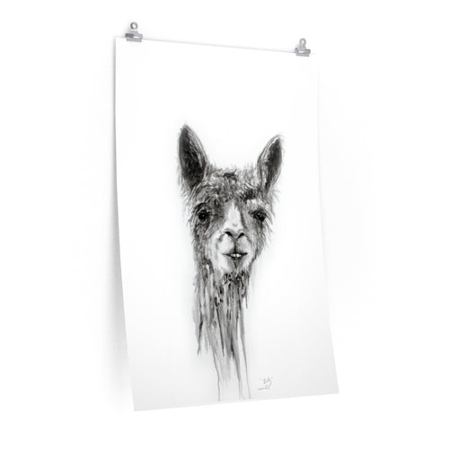 BILLY Llama- Art Paper Print