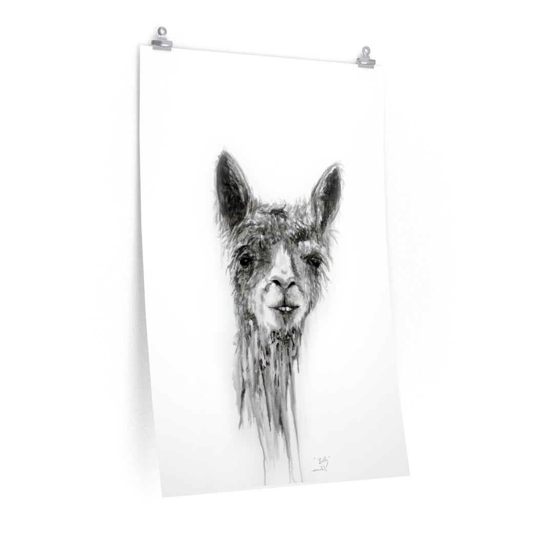 BILLY Llama- Art Paper Print