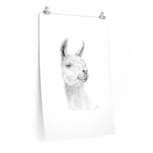 JEFF Llama- Art Paper Print