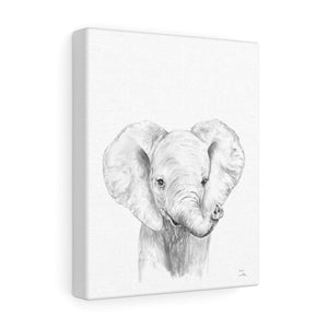 Amos Elephant - Animal Art Canvas