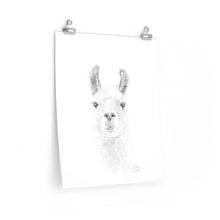 LINH Llama- Art Paper Print