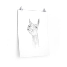 DAVYN Llama- Art Paper Print