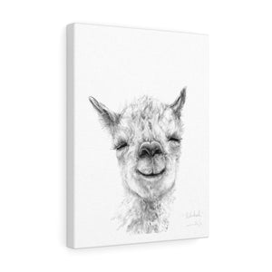 REBEKAH Llama - Art Canvas