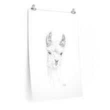 EMSLEY Llama- Art Paper Print