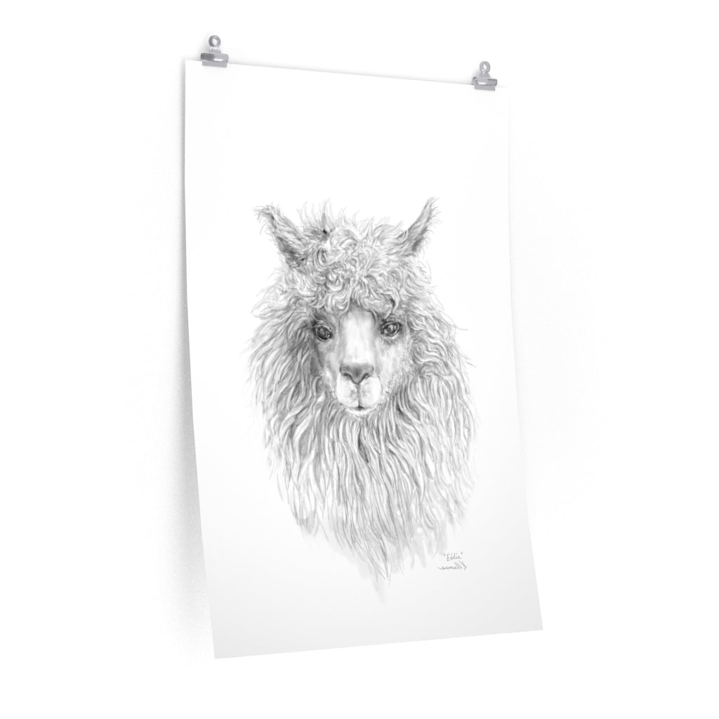 EDDIE Llama- Art Paper Print