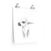 DEBI Llama- Art Paper Print