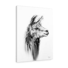 CATHERINE Llama - Art Canvas