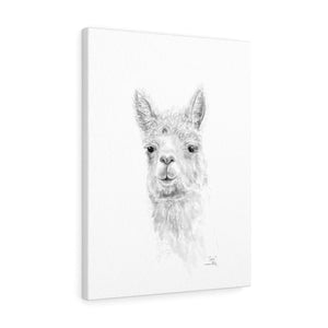 CARI Llama - Art Canvas