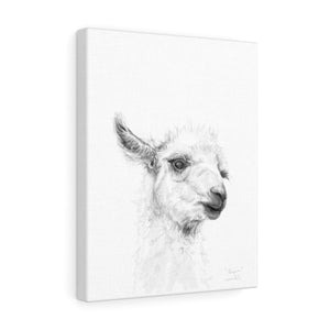 MEAGAN Llama - Art Canvas