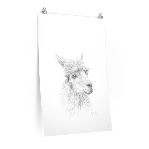 SHANNON Llama- Art Paper Print