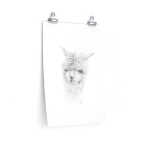 LILY Llama- Art Paper Print