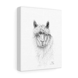 ADDI Llama- Art Canvas