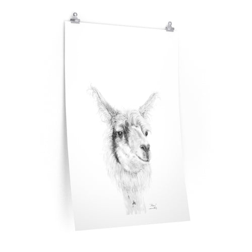 ADAM Llama- Art Paper Print