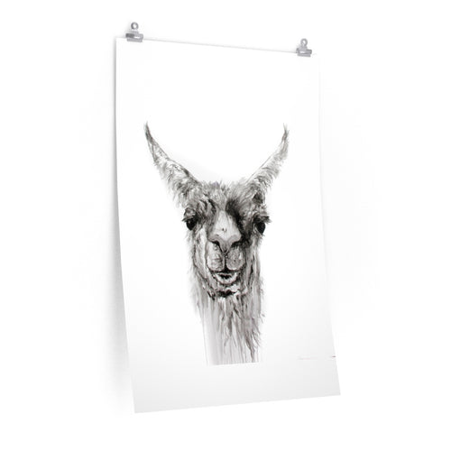 NEMORIO Llama- Art Paper Print