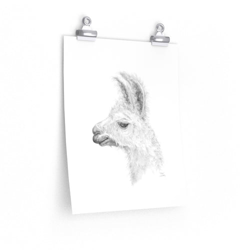 EZRA Llama- Art Paper Print