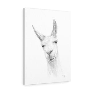 JASON Llama - Art Canvas