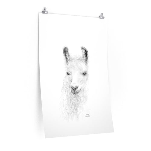 ALISHA Llama- Art Paper Print