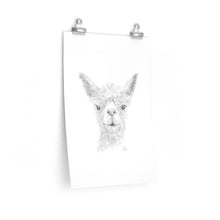 Alex Llama- Art Paper Print