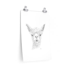 Alex Llama- Art Paper Print