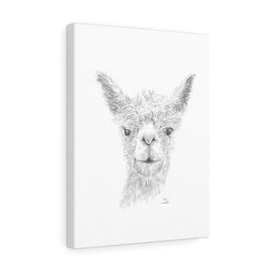 Alex Llama - Art Canvas