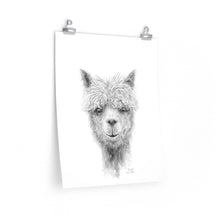 DANIEL Llama- Art Paper Print