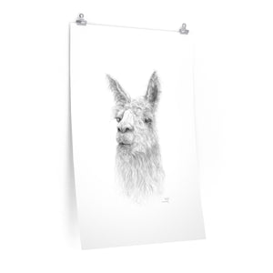 SHELLY Llama- Art Paper Print