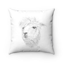 Llama Pillow - JOSEPH