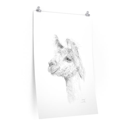 ANDY Llama- Art Paper Print