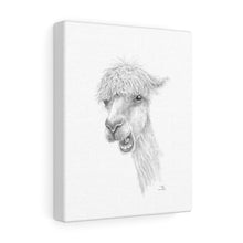 TYLER Llama - Art Canvas