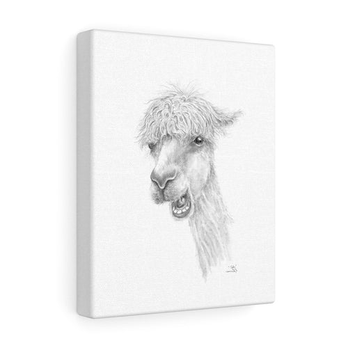 TYLER Llama - Art Canvas