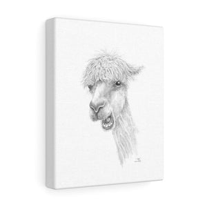 TYLER Llama - Art Canvas