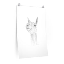 DAVYN Llama- Art Paper Print