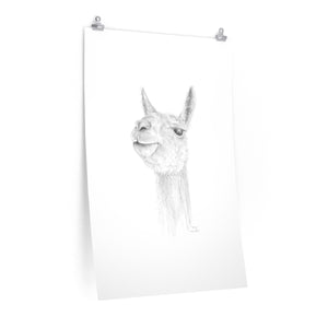 DAVYN Llama- Art Paper Print