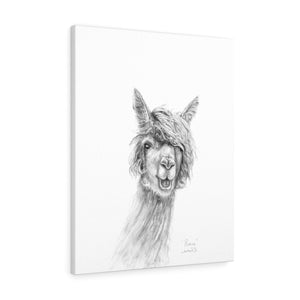 RENEE Llama - Art Canvas